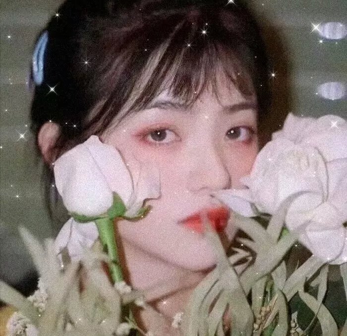 吉尔达生活